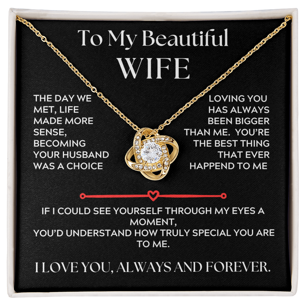 To My Beautiful Wife, Love Knot Necklace, The Day We Met