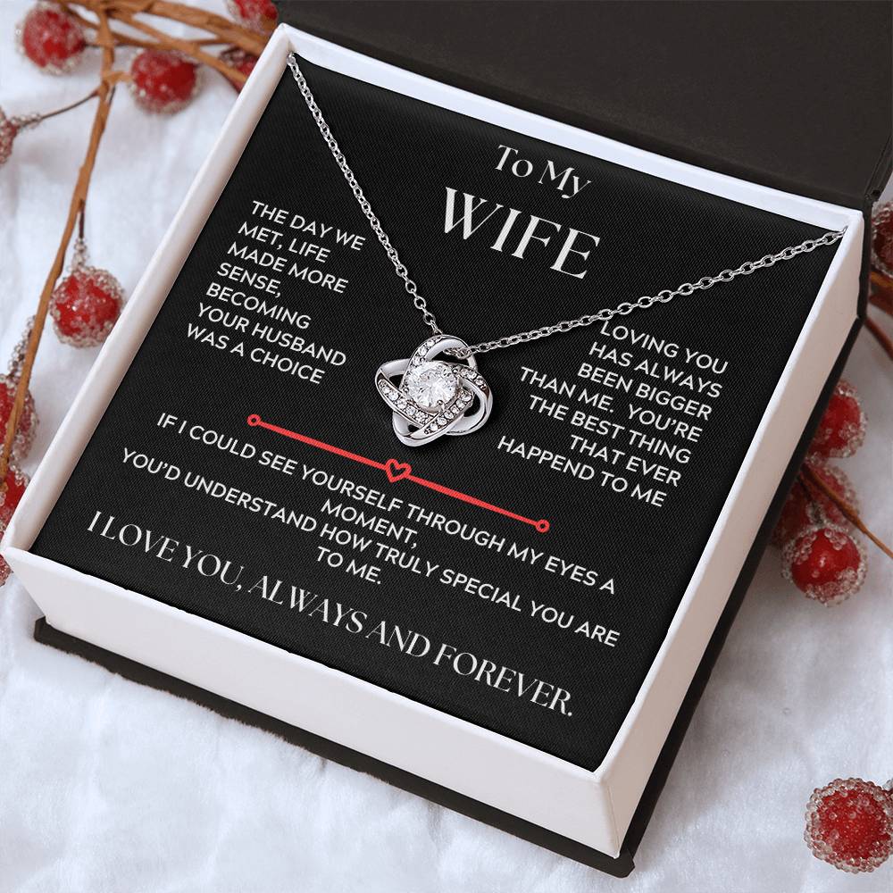 To My Wife, Love Knot Necklace, The Day we Met